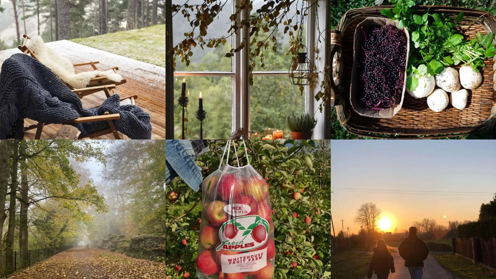 16+ Stunning Autumn Nordic Ideas That Transform Any Home
