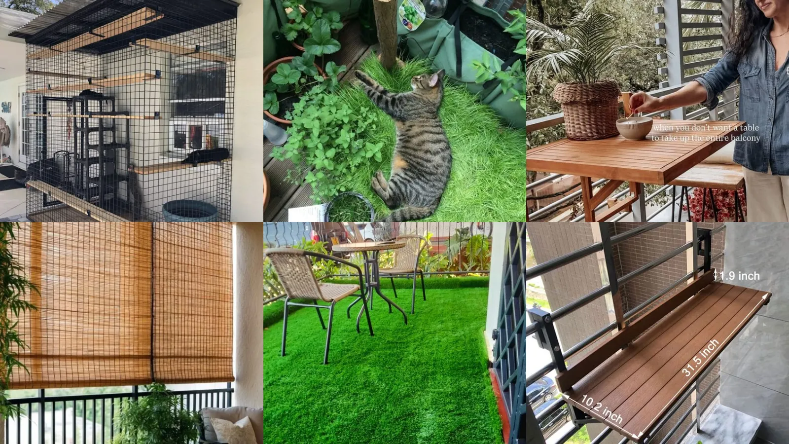 17+ Cat Balcony Ideas That Keep Kitties Safe & Happy