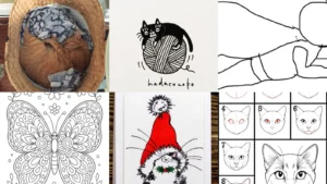 18+ Adorable Drawing Ideas Cat Lovers Obsess Over