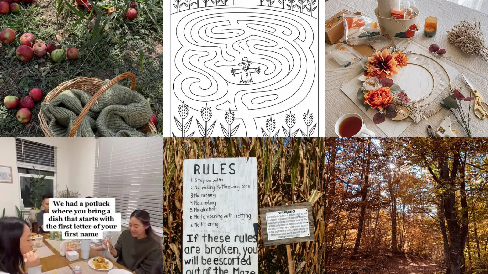 16+ Cozy Fall Activities For Adults That Beat Boredom
