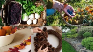 13+ Genius Foraging Ideas Beginners Can Start Today