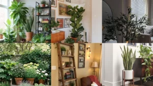 17+ Stunning Plant Corner Ideas Living Room Transforms