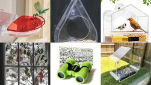 19+ Genius Window Bird Feeder Ideas That Transform Your View